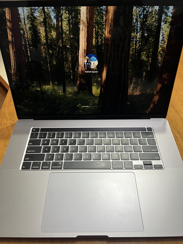 Apple Macbook Pro A2141 16 I7 16gb 512gb Gris Espacial (Usado)