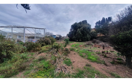 Vende Oferta!! Gran Casa Terreno De 3000 M2 En Quintero.