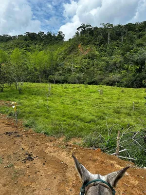 Lote y casalote en venta