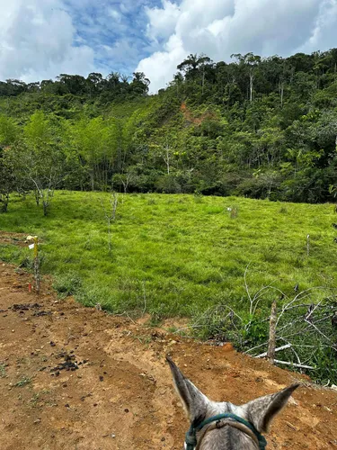 Lote Con Acceso A Río En San Carlos Antioquia
