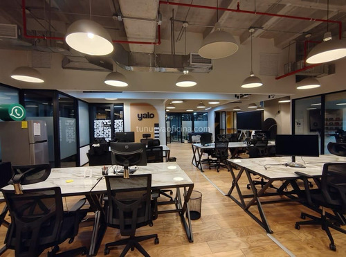 Renta Oficina 250m² Acondicionada - Av Chapultepec, Roma Glorieta Insurgentes