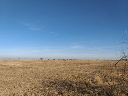 Imagen 7 de 13 de Vendo 90 Hectareas Ganaderas En Ucles, Cba