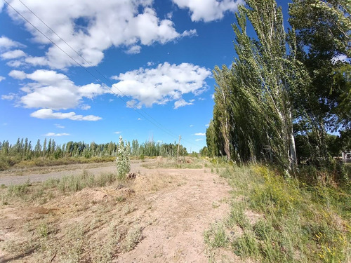 5 Héctareas (chacra) Con Riego Y Entrada Individual En 25 De Mayo La Pampa