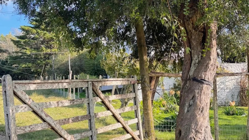 Campo 57 Has - Agricola Ganadero Cerca De Minas! Muy Bueno!
