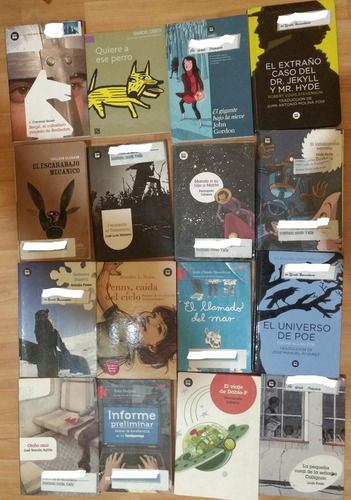 Colección De Libros Variados Para Niños Y Adolescentes (Usado)