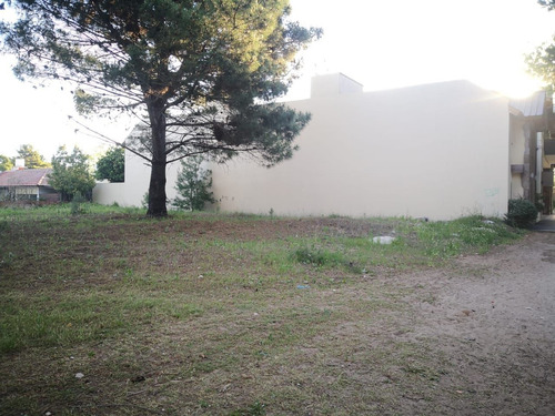 Imagen 6 de 14 de Terreno En Venta En San Bernardo