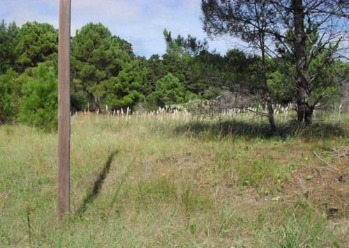 Imagen 8 de 8 de Lote Unifamiliar De 675 M2 - Mar De Las Pampas | Cod.0216