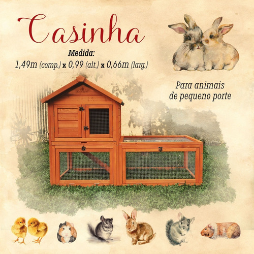  Galinheiro  Móvel Com Casinha   Animais  Pet, Coelho  