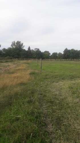 Terreno En Venta - 432mts2 - Don Jemel Ii, Abasto, La Plata