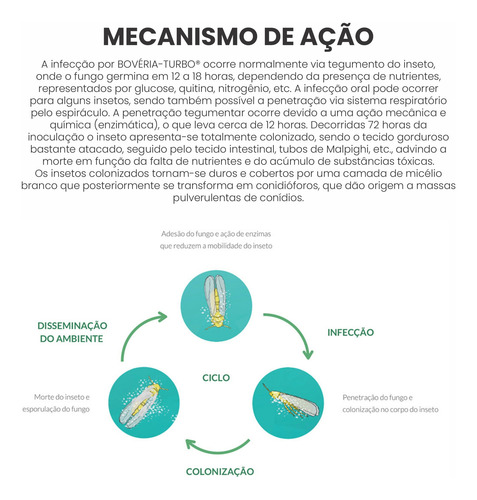 Bovéria Turbo Mosca Branca PuLGão 2kg - Vencido