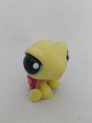 Little pet store shop tortuga