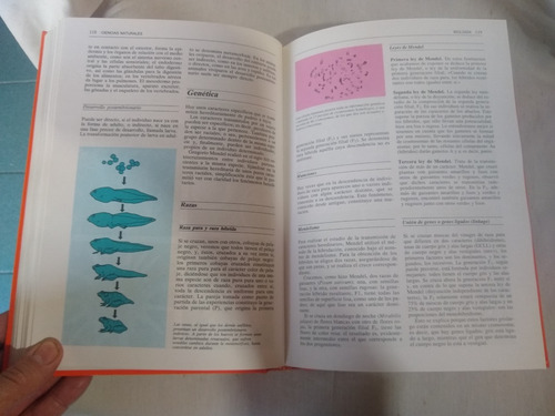 Libro De Areas Consultor Didactico, Ciencias Naturales