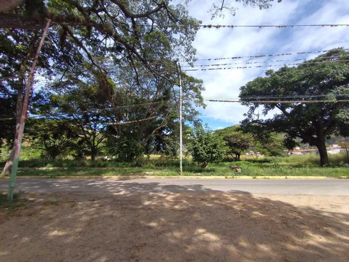 Imagen 1 de 10 de Se Vende Terreno En El Recreo, Av. Panamericana La Victoria.