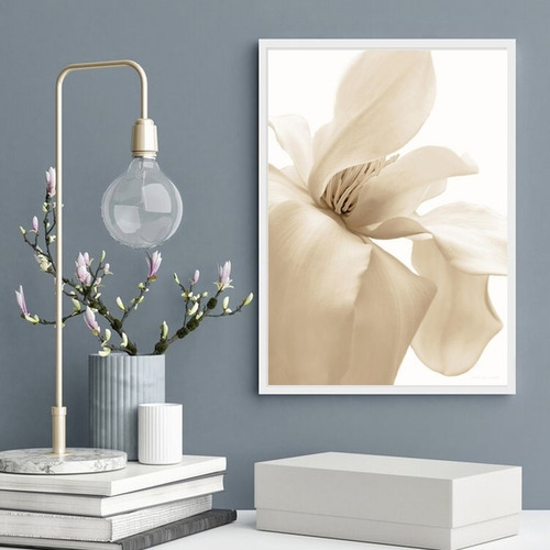 Quadro Decorativo Flor Bege Fundo Branco 24x18cm - Com Vidro