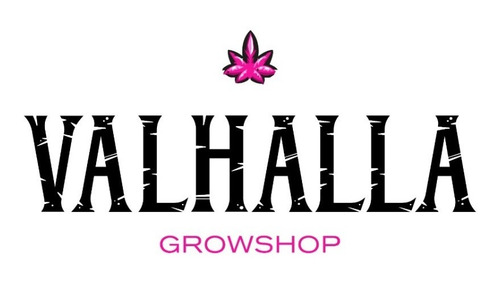 Semillas De Eneldo Sobre De 1gr Valhalla Grow Shop