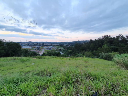 Imagem 1 de 14 de Terreno - Te00023 - 70817625