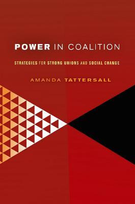 Libro Power In Coalition - Amanda Tattersall