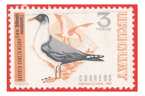 1969. Estampilla Gaviota Cabeza Negra, Uruguay. Slg1