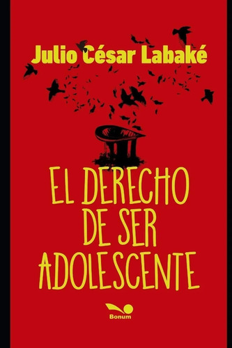 Libro El Derecho De Ser Adolescente Julio César Labaké Bonum