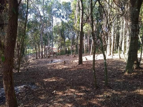 Imagem 3 de 7 de Cód 3865- Terreno De 1480 M². Em Ibiúna - 3865