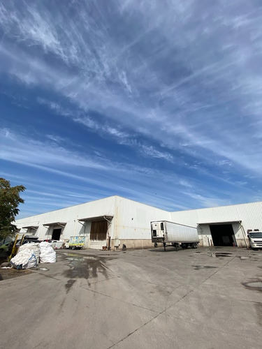 Arriendo De Bodega 541,75 M2 Camino Los Pinos, San Bernardo