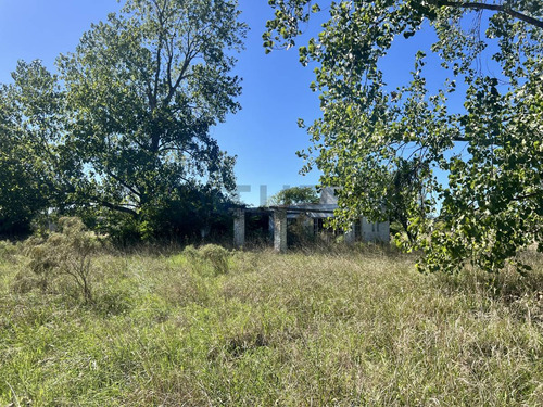 Venta Campo/ Terreno, Apto Desarrollo. Calle 135 Y 443 Bis