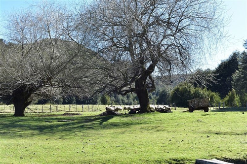 Sitio En Venta En Palena