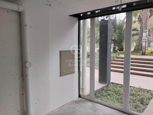 Local Comercial De 31m2 En Av. Rondizzoni