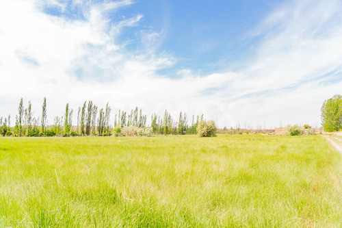 Terreno Parras De Oro