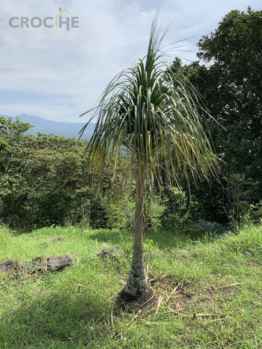 Rancho En Venta La Concepción Ver, 15 Mins De Xalapa Ver.