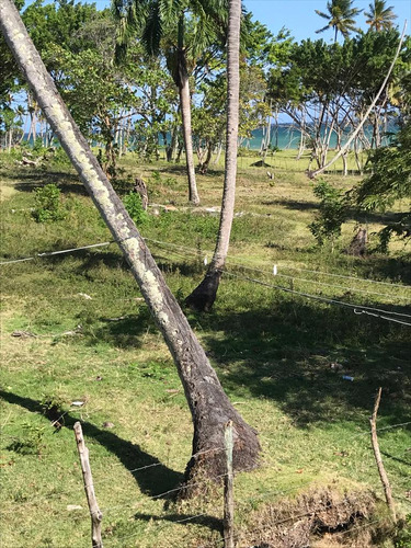 Se Vende Terreno En Los Cocos Samana 