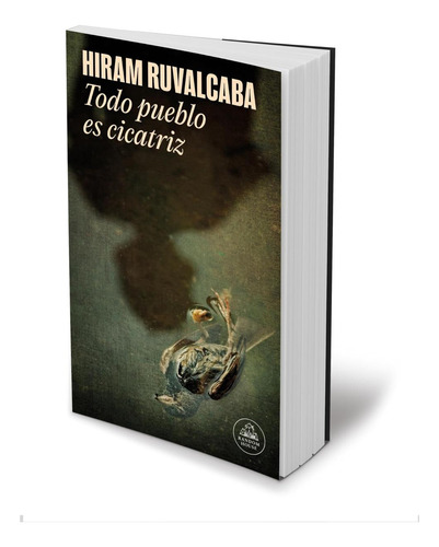 Libro: Todo Pueblo Es Cicatriz Every Town Is A Scar (mapa De
