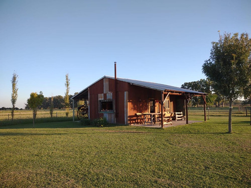 Imagen 4 de 21 de Chacra En Venta- Lobos