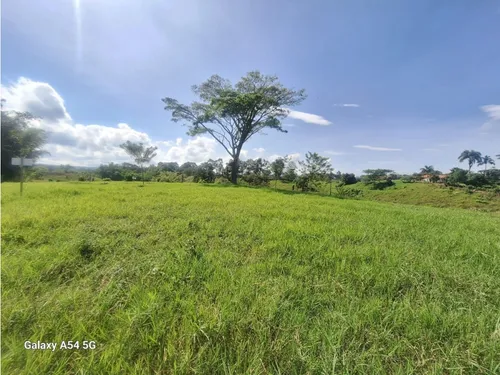 Venta Lotes En Quimbaya -quindío Colombia Cod: 7555717