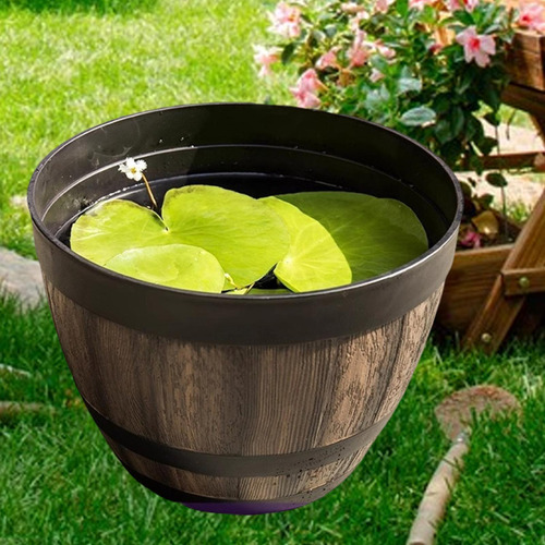 Planta De Planta Recipiente De Plantas Regalos Decoración