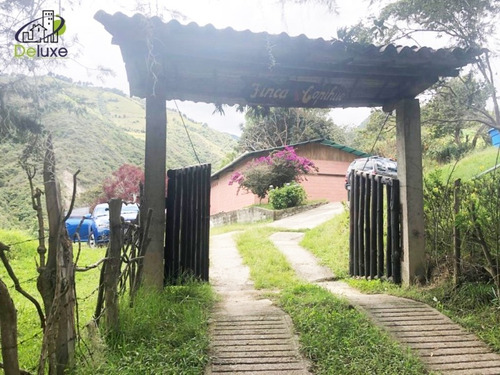 Imagen 1 de 12 de Finca En Venta Mérida. El Pedregal, Tabay