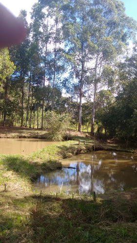 Sitio Com 50.000 Metros Quadrados Em Caxambu Sul De Minas , 09 Klm Da Cidade, Muita Água,bom Para Piscicultura, 03 Lagos Com Peixe. - 246