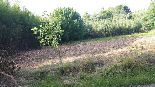 Jasale Vende Terreno En Vieytes