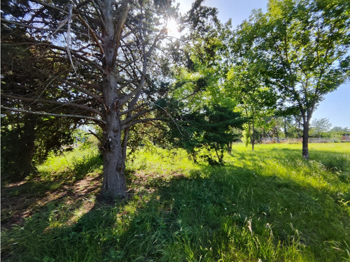 Terreno En Venta Olivera Luján 2914 M2 Lote 12