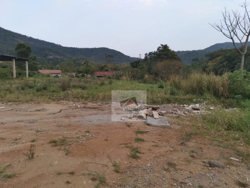 Imagem 2 de 8 de Terreno A Venda No Bairro Ratones Em Florianópolis - Sc. - 4520-1