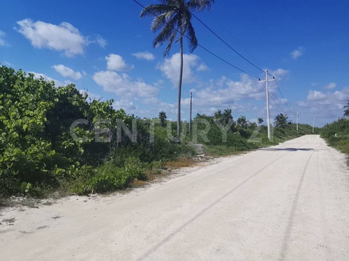 Oportunidad!!se Vende Terreno Frente Al Mar Mahahual-rio Indio P1200