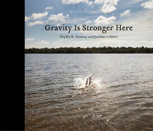 Gravity Is Stronger Here, De Phyllis Dooney. Editorial Kehrer Verlag, Tapa Dura En Inglés