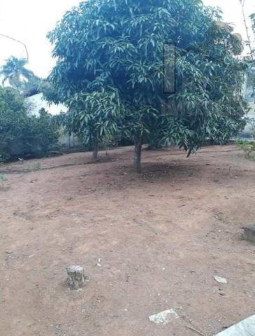 Imagem 8 de 12 de Cod 4293 - Chácara Com 1.000m² De Terreno Em Caucaia Do Alt - 4293