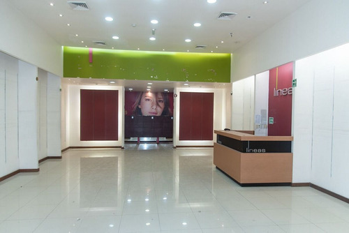 Local En Gran Plaza Excelente Ubicación