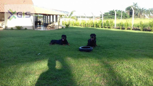 Imagem 12 de 20 de Chácara Com 3 Dormitórios À Venda, 1400 M² Por R$ 790.000,00 - Residencial São Thomaz 2 - São José Do Rio Preto/sp - Ch0082