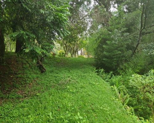Imagem 12 de 15 de Chácara À Venda No Chácara São Francisco - Ribeirão - Pilar Do Sul/sp - Ch00725 - 69284477