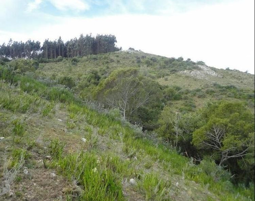 Imagen 7 de 14 de Quinta En Venta En Garzon