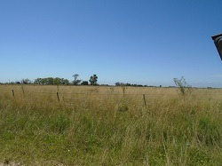 Venta Campo En Etcheverry La Plata