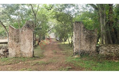 Venta De Bonito Terreno En Timucuy Yucatán Para Producción Agrícola O Ganadera.