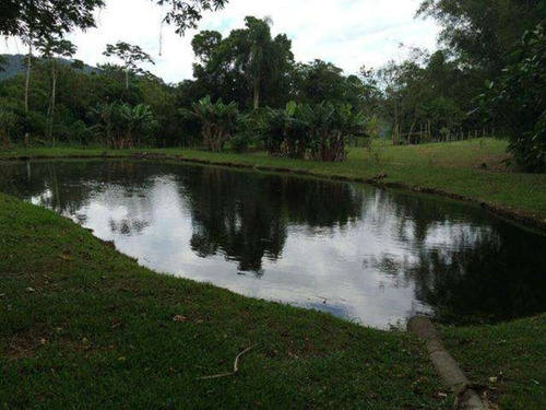 Imagem 27 de 29 de Excelente Chacara Em Camboríú. 100% Plana.lagos De Peixes - Dv019 - 3092046